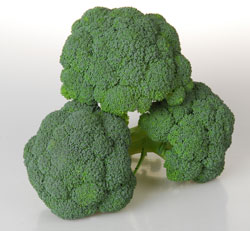 brocoli