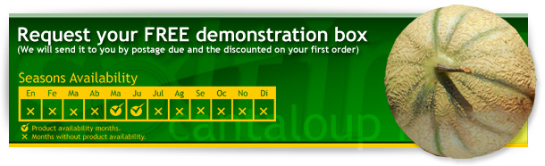 free-box-cantalou