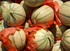 melon-cantaloup