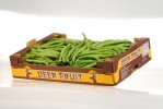 Box beans - Soltir